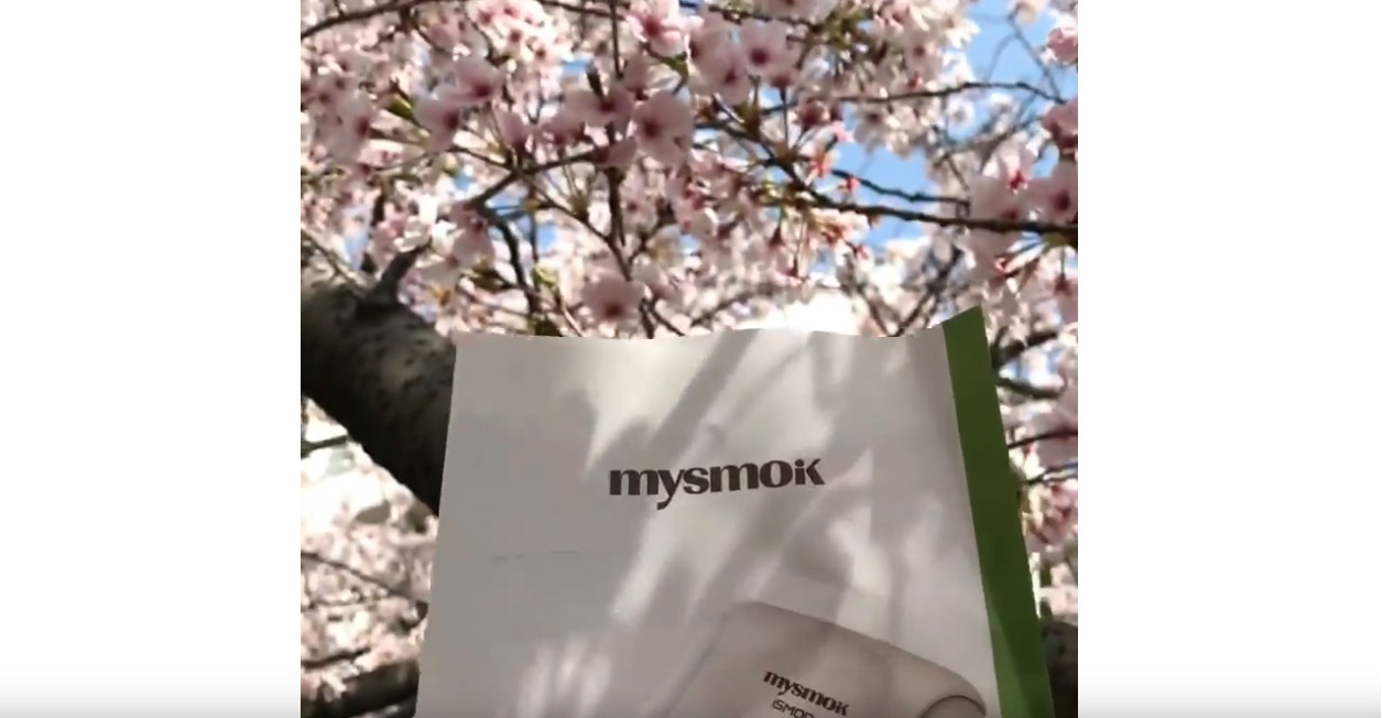 cuando el dispositivo Yun Xi heat not burm se encuentra con sakura