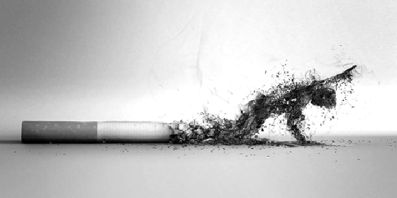 algo de conocimiento sobre la nicotina